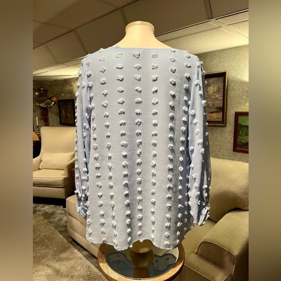 KORI AMERICA Women's S Light Blue Distressed Pom Pom Fringe LS Tunic‎ Blouse - Picture 2 of 12